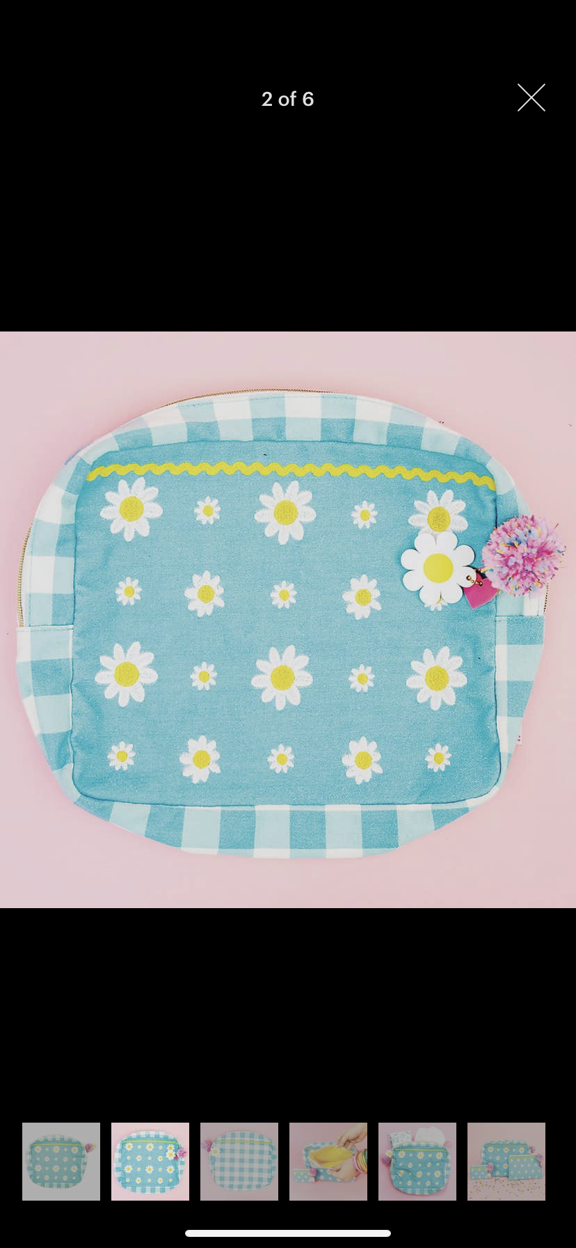 Daisy Darling Large Pouch